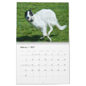 2014 Silken Windhounds in actie 1-6 Kalender (Feb 2027)