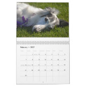 2014 Silken Windhounds in repose 1-4 Kalender (Feb 2027)