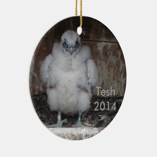 2014 Tesh Ornament (Rechts)