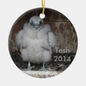 2014 Tesh Ornament (Voorkant)