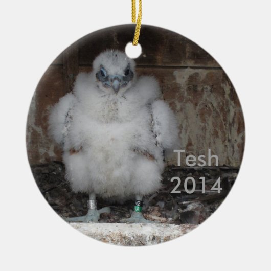 2014 Tesh Ornament (Voorkant)