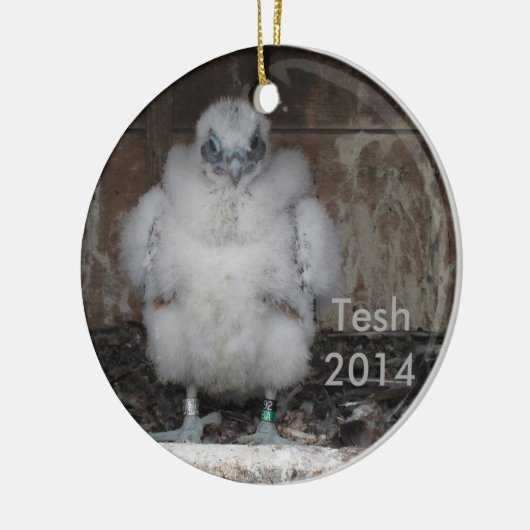 2014 Tesh Ornament (Links)