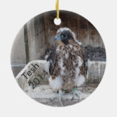 2014 Tesh Ornament (Achterkant)