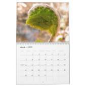 2014 Walden Pond Calendar met Thoreau quotes Kalender (Mar 2027)