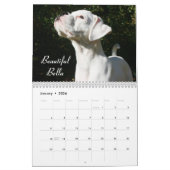 2014 White Boxer Calendar Kalender (Jan 2026)
