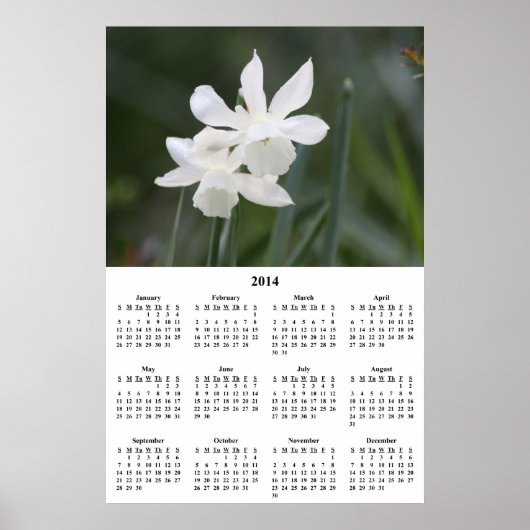2014 Witte Narcissen Wandkalender Poster (Voorkant)