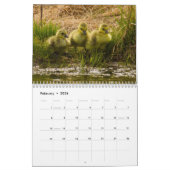 2015 Baby Animals van McDonald Wildlife Fotografie Kalender (Feb 2026)