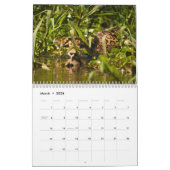 2015 Big Cats Calendar van McDonald Wildlife Foto Kalender (Mar 2026)