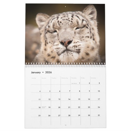 2015 Big Cats Calendar van McDonald Wildlife Foto Kalender (Jan 2026)
