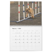 2015 Border Terrier Calendar Kalender (Feb 2026)