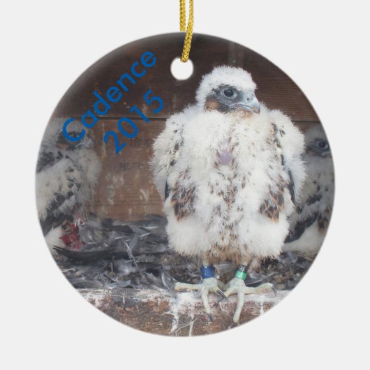 2015 Cadence Ornament (Voorkant)