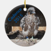 2015 Cadence Ornament (Achterkant)