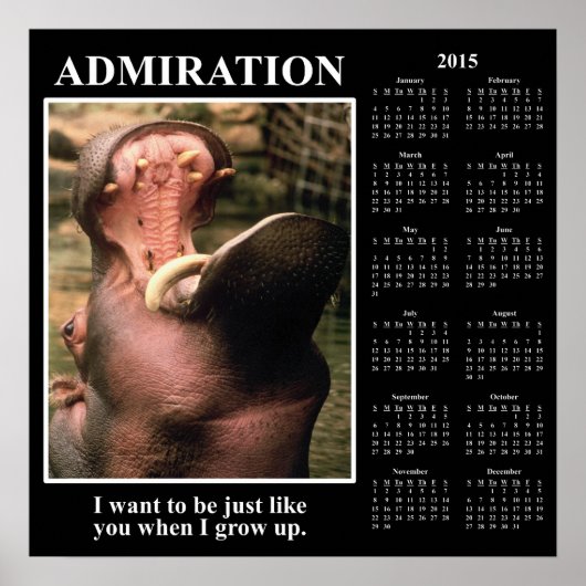 2015 Demotivational Wall Calendar: Ik bewonder u Poster (Voorkant)