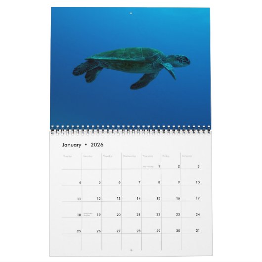 2015 Draaien van de kalender van het Koraal Zee (Jan 2026)