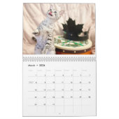 2015 Egyptian Mau kalender: Katten van de Pharohs Kalender (Mar 2026)