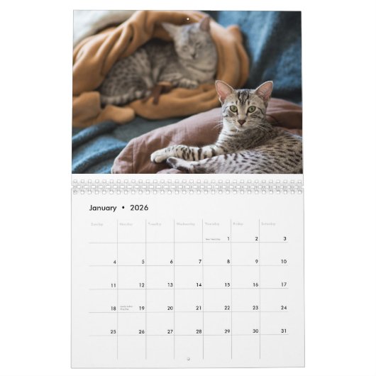 2015 Egyptian Mau kalender: Katten van de Pharohs Kalender (Jan 2026)