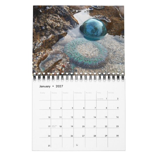 2015 Japanse Glass Float Calendar Kalender (Jan 2027)