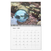 2015 Japanse Glass Float Calendar Kalender (Mar 2027)