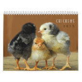 2015 Kippen Wall Agenda Kalender (Hoes)