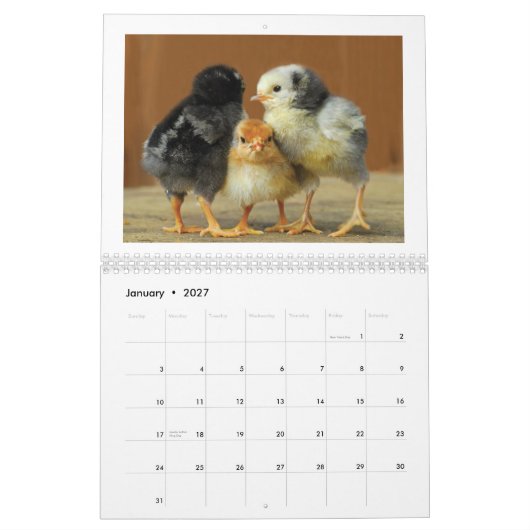 2015 Kippen Wall Agenda Kalender (Jan 2027)
