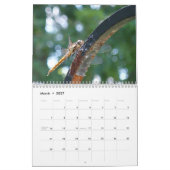 2015 leven rondom ons Agenda Kalender (Mar 2027)