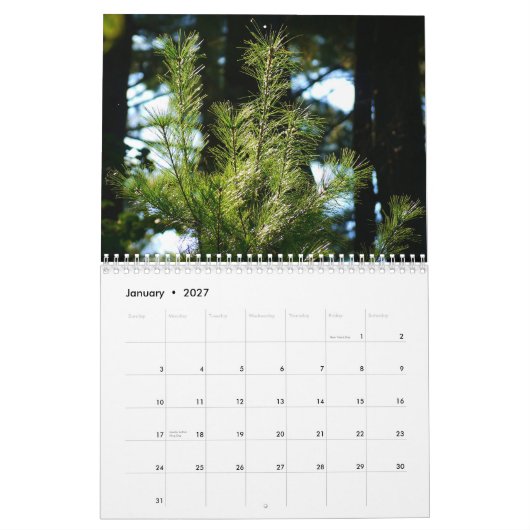 2015 leven rondom ons Agenda Kalender (Jan 2027)