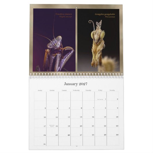 2015 Mantidforum.net Main Member Wall Agenda Kalender (Jan 2027)