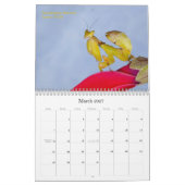 2015 Mantidforum.net Wall Agenda Kalender (Mar 2027)