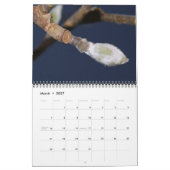 2015 Natuur Kalender (Mar 2027)