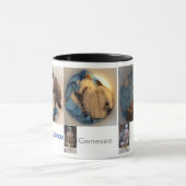 2015 Rfalconcam Bucket Pics Mok (Midden)