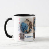 2015 Rfalconcam Bucket Pics Mok (Links)