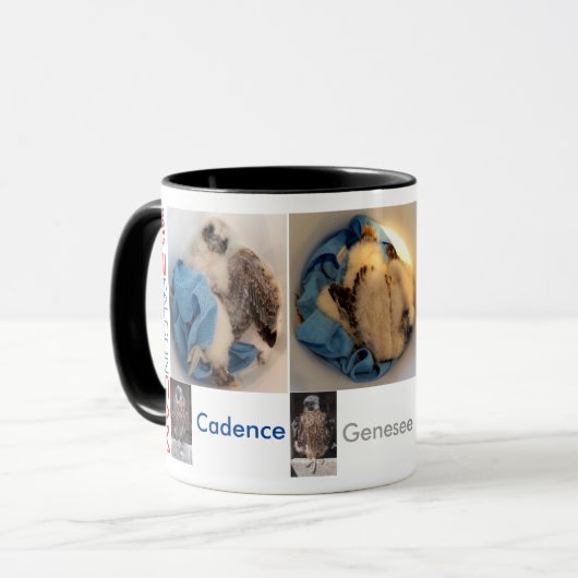 2015 Rfalconcam Bucket Pics Mok (Voorkant links)