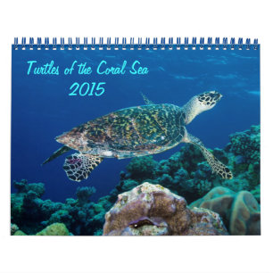 2015 schildpadden van de Kalender van het Zee van