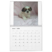 2015 Shih Tzu Puppy Calendar Kalender (Mar 2026)