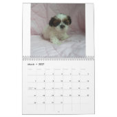 2015 Shih Tzu Puppy Calendar Kalender (Mar 2027)