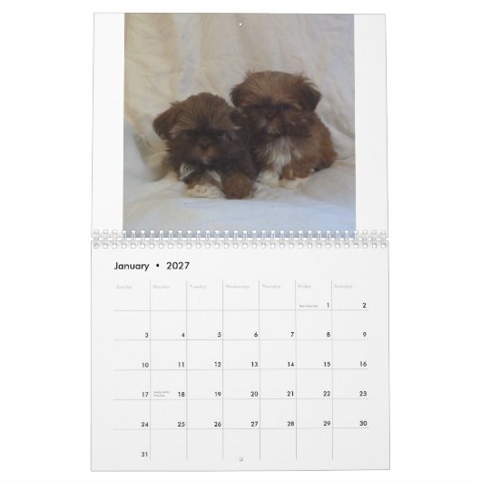 2015 Shih Tzu Puppy Calendar Kalender (Jan 2027)