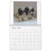 2015 Shih Tzu Puppy Calendar Kalender (Feb 2027)
