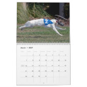 2015 Silken Windhounds in actie Kalender (Mar 2027)