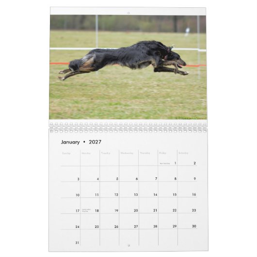 2015 Silken Windhounds in actie Kalender (Jan 2027)