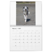 2015 Silken Windhounds in actie Kalender (Feb 2027)