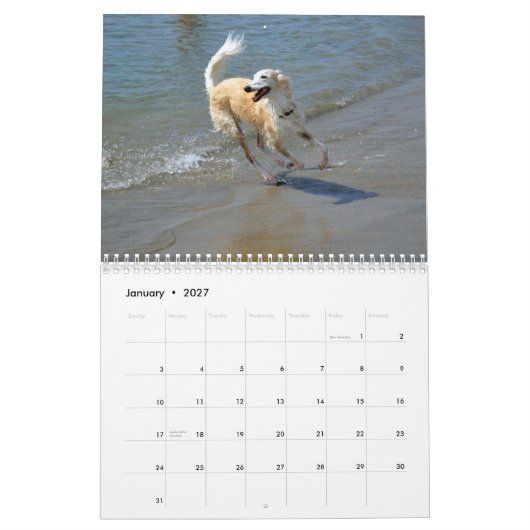 2015 Silken Windhounds in actie Kalender (Jan 2027)
