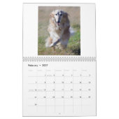 2015 Silken Windhounds in actie Kalender (Feb 2027)