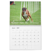 2015 Speciaal overzicht van de prestaties van de B Kalender (Mar 2027)