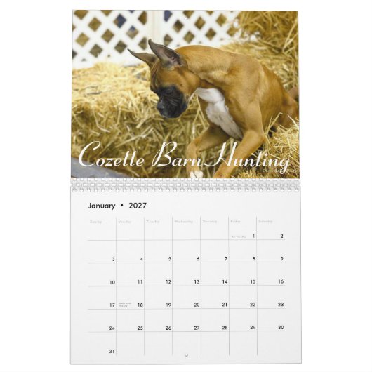 2015 Speciaal overzicht van de prestaties van de B Kalender (Jan 2027)