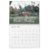 2015 Speciaal overzicht van de prestaties van de B Kalender (Feb 2027)