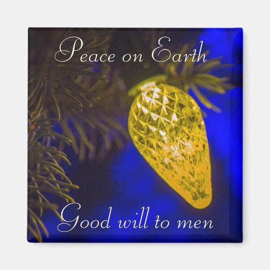 2015 Vakantiemagneet Magneet (Voorkant)