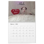 2015 White Boxer Calendar Kalender (Feb 2026)