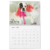 2015 White Boxer Calendar Kalender (Mar 2027)