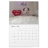 2015 White Boxer Calendar Kalender (Feb 2027)