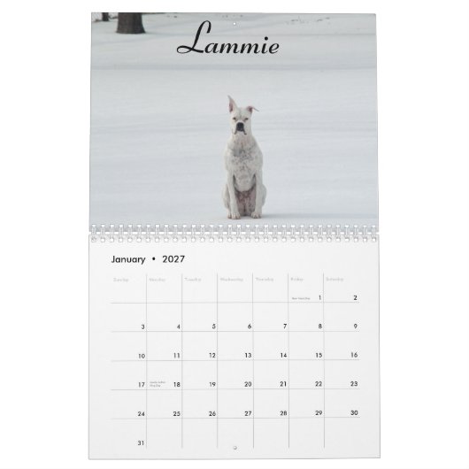2015 White Boxer Calendar Kalender (Jan 2027)